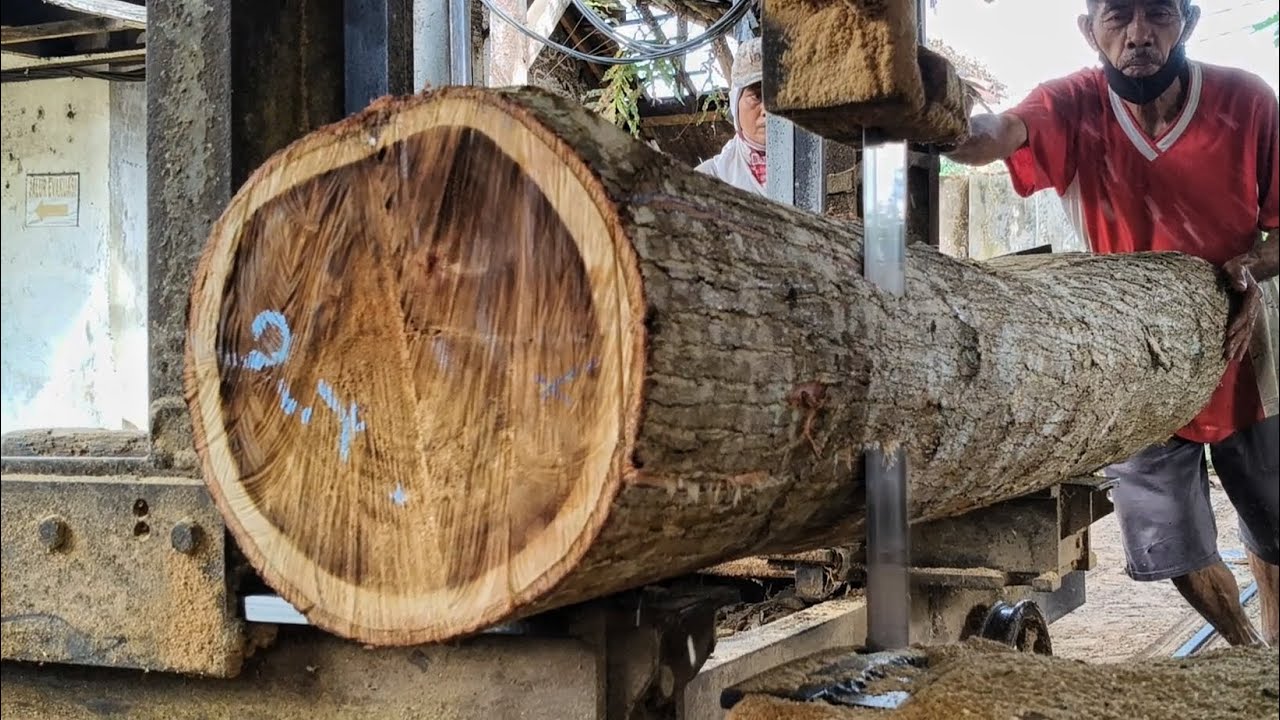 The process of sawing super full galeh teak wood very carefully - YouTube