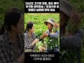 [26년도 고구마 종순 예약 받습니다. 첫구매 고객 새싹칼슘 사은품을 제공해드립니다 - 중고트랙터 경운기 관리기 스키로더 굴삭기 화물트럭 매매 직거래 장터 사이트 (관리기.com)