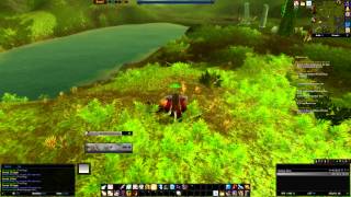 ElvUI