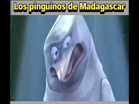 Pinguino Zombie Los Pinguinos De Madagascar