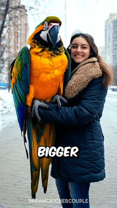 The 3 LARGEST Bird Species 🦤