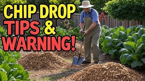 Chip Drop Tips and WARNING   Watch This Before Using Chip Drop