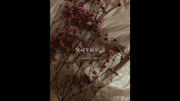 ﴿ وأنا اخترتك فاستمع لما يوحى ﴾ سورة طه تلاوة هادئة تريح القلب 🖤