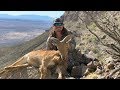 Free Range Aoudad Hunt in New Mexico! {Hardest Hunt Of My Life}