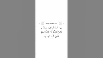 سورة الأنعام ٢٢