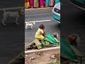 Grandma was knocked down by a car, and the baby was especially worried and wanted to help her up.