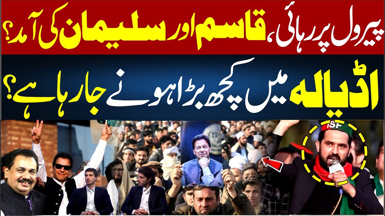 Прибытие Касима и Сулеймана? | Условно-досрочное освобождение | Что-то серьёзное назревает в Адиа...