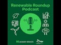 PPAs + Storage: The New Insurance for Corporate Renewables