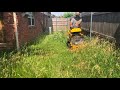 The elderly person that lived here died, and family has been struggling to mow lawn