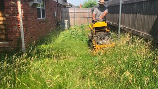 The elderly person that lived here died, and family has been struggling to mow lawn