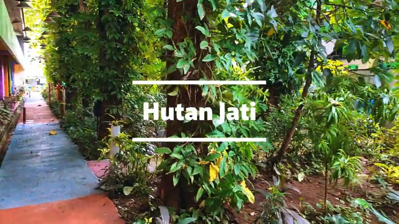 Sekolah ku asri, indah, nyaman untuk belajar