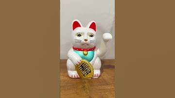 A Very Cute Waving Fortune Cat for just Five Dollars?! 🙀🐱🧧🎉 #shorts