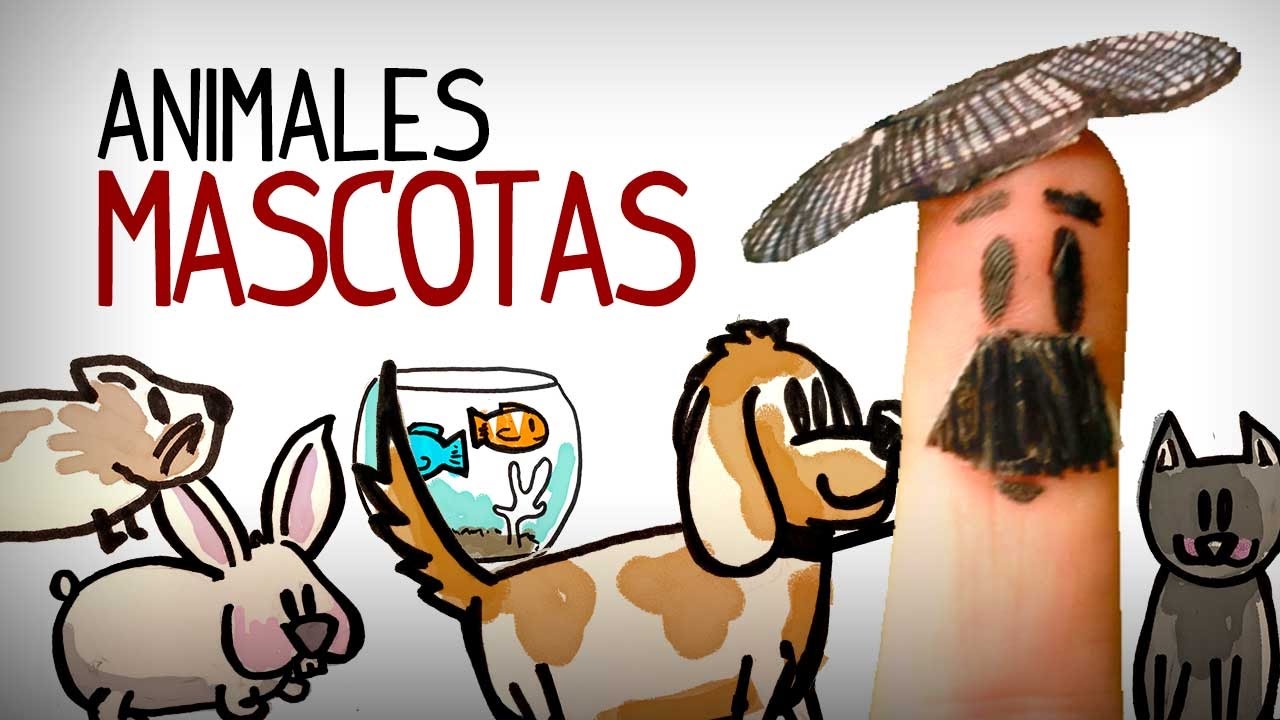Vocabulaire espagnol animaux de compagnie, apprendre