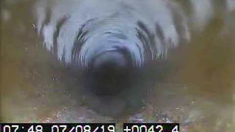 Bodell A Sewer back