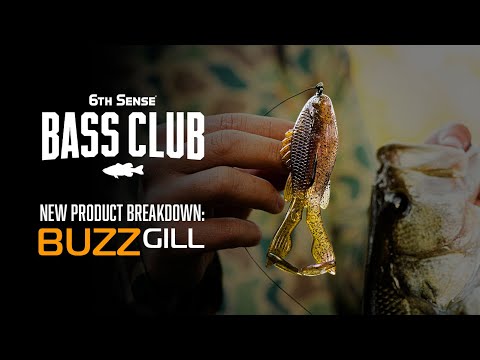 Use THIS to Get MASSIVE Blowups | BuzzGill Breakdown