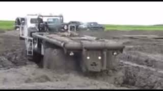 Marcep Intruder