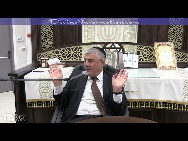 ליצנים שוטים מושלים בנו