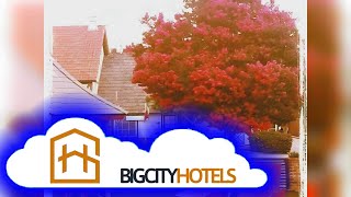 BigCityHotels • Review The Hamlet Inn