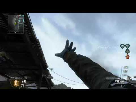 bo2キルシーン  ラスキルサイレントショット