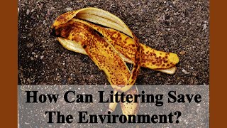 Celebrity How To Solve The Trash Problem By Littering Wealth
