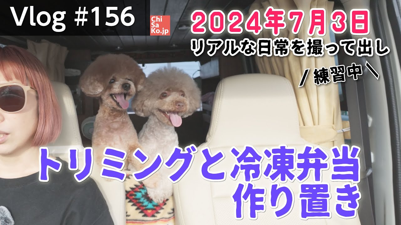わんこのトリミングと冷凍弁当作った日【Vlog#156】
