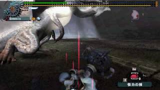 MHF ルーツハンマーソロ20100501