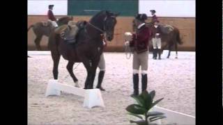 Bellissimo Stud presents Highlights from First International Dressage Forum for Lusitano Horse