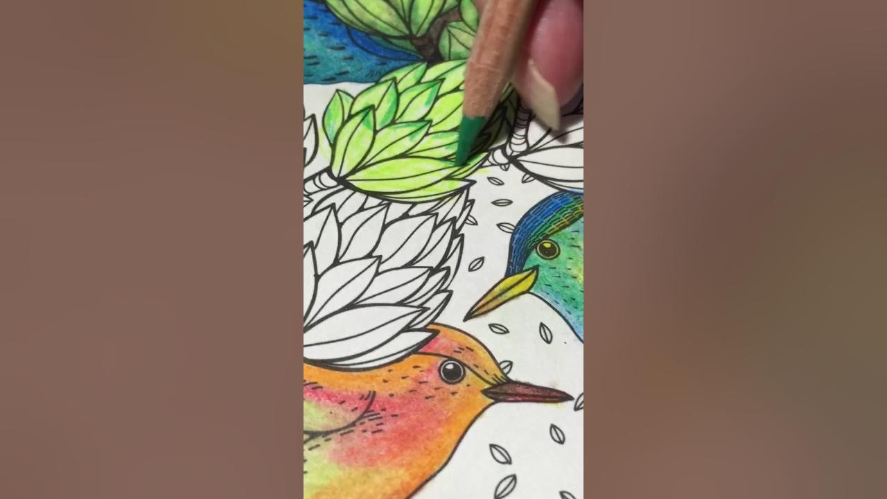 Blending Watercolor Pencils with Vaseline YouTube