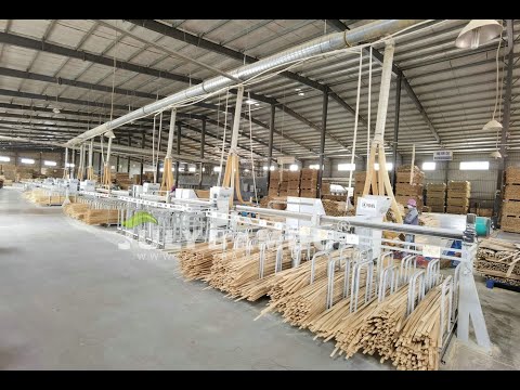 The entire process of transforming bamboo from herbaceous plants into furniture