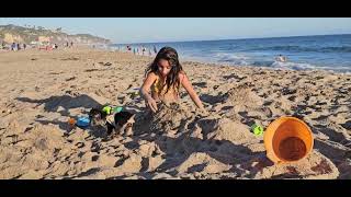 Great Time On The Beach. Kids And Puppy Playing On The Beach, With Sand.