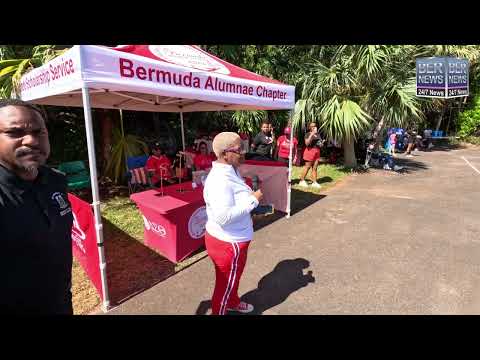 Delta Sigma Theta Sorority Netfest, October 14, 2023