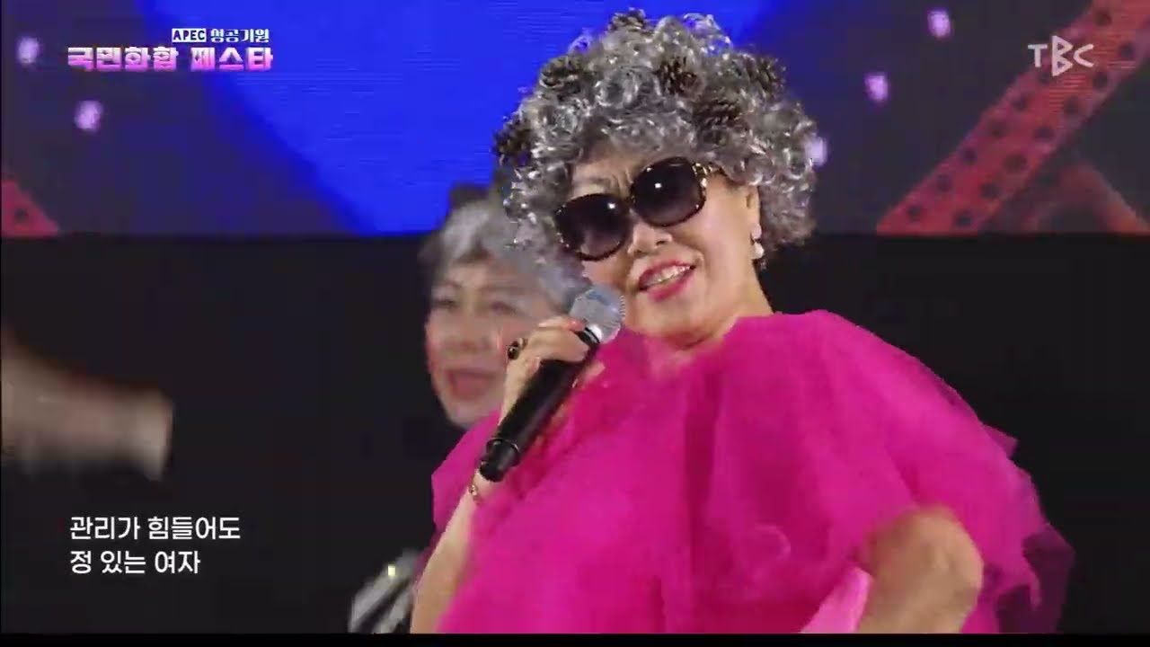 APEC 성공기원  국민화합 페스타