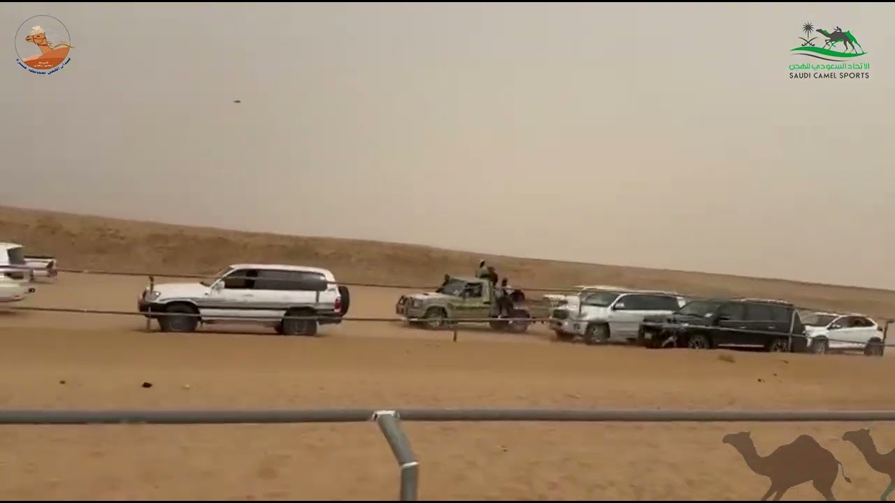 الشوط الثاني بكار مفاريد متعبه /  هويدي بن رحيم الحربي