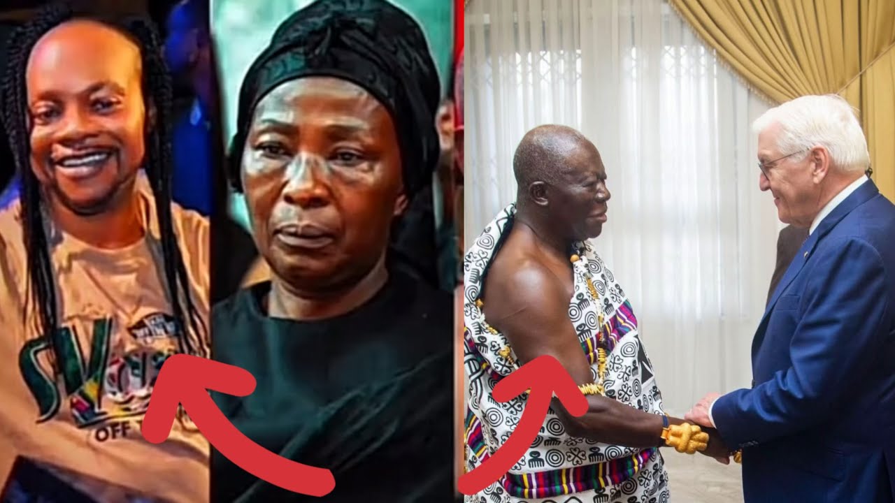 REAL REASON GERMAN PRESIDENT CAME TO GHANA