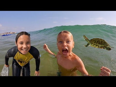 Video: Kan du simma i sjön thurmond?