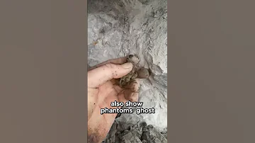 What Makes Double Terminated Crystals So Special Diamond Crystals Shorts 