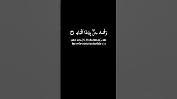 لا اقسم بهذا البلد🌹محمد صديق المنشاوي 🌹سورة البلد 🌹كرومات سوداء القرآن الكريم#blackscreenquran