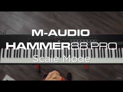 M-Audio Hammer 88 Pro Controller Keyboard