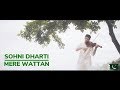 Sohni Dharti / Mere Watan Teri Janat (Cover) by Leo Twins