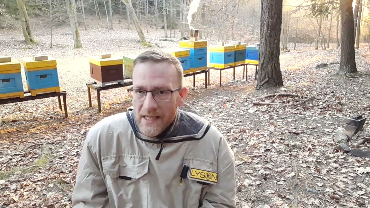 Na kávě se včelařem- extrémně bodavé včelstvo