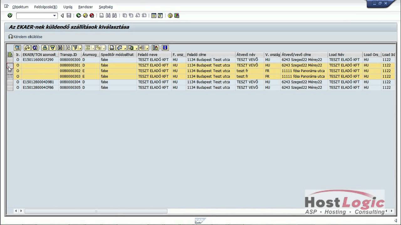 HostLogic SAP-EKAER megoldás 1.0 demo HD - YouTube