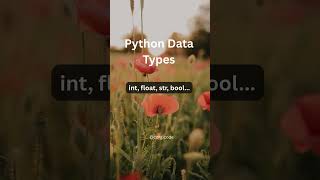 Python Data Types int, float, str, bool
