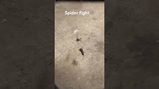 Spider fights for his life #spiderman