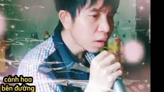 cánh hoa bên đường; thân.