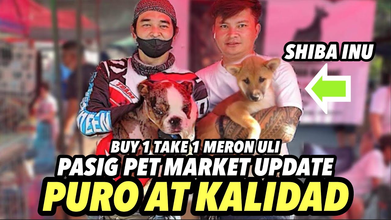 MGA QUALITY PETS SA PASIG PET MARKET FEBRUARY 10, 2024 YouTube