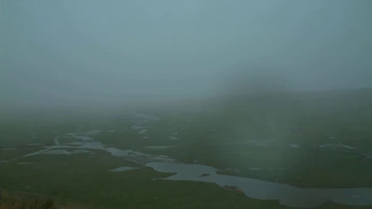 Gordon Creek Stream Restoration Project - Year 1