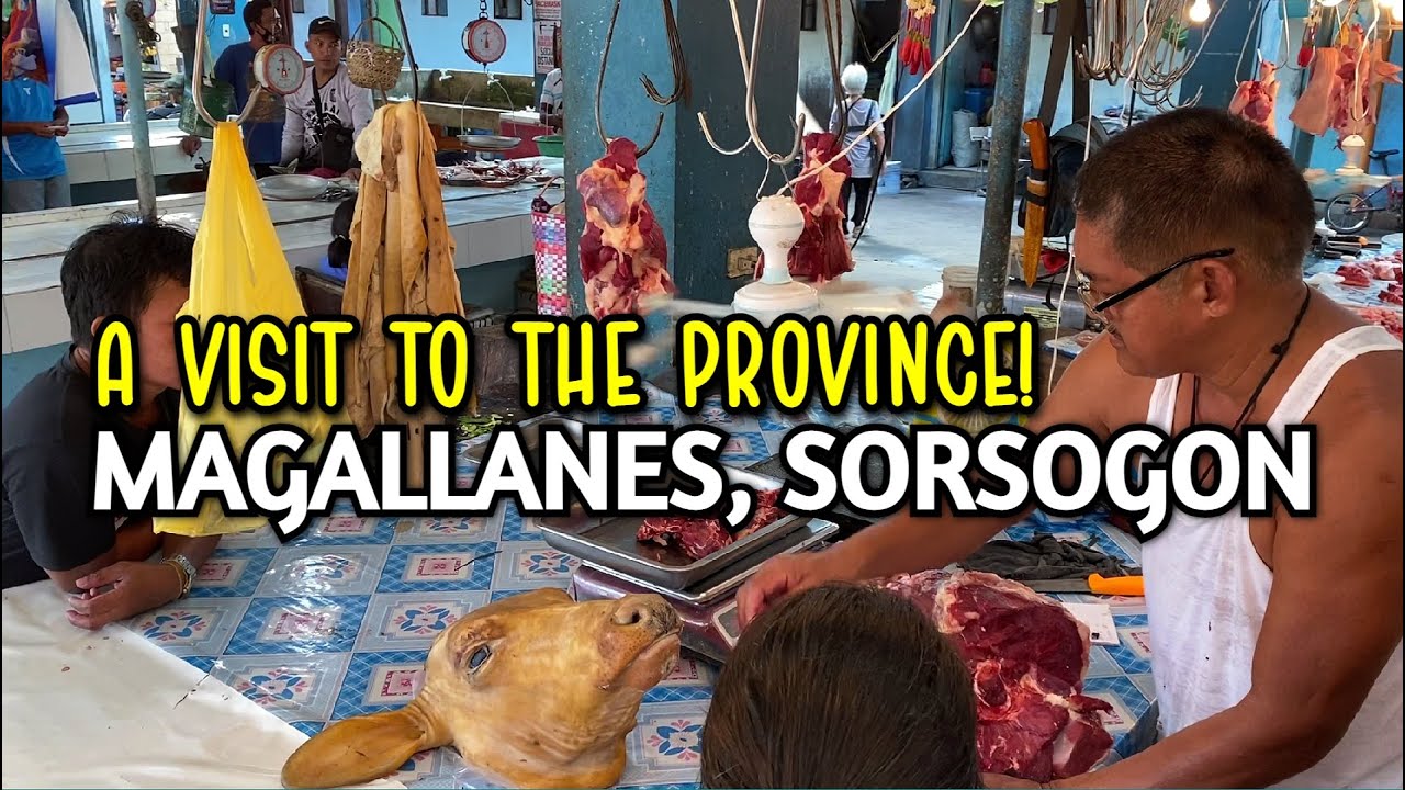 Magallanes Sorsogon - Market Tour | A Visit to the Province of Sorsogon, Bicol Philippines