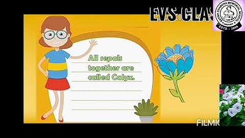 EVS : CHAPTER 11 : The Valley of Flowers ( part 3 )