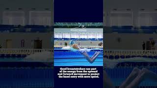 THE SECRETS OF BREASTSTROKE