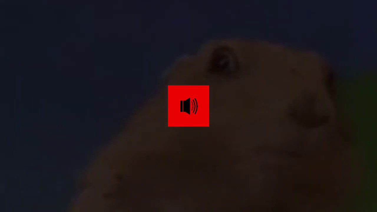 Dun dun dun sound effect dramatic youtube